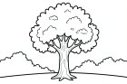 disegno-da-colorare albero