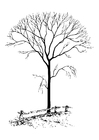 disegno-da-colorare albero spoglio