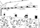 Disegni da colorare allevamento di galline