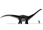 Disegno da colorare Antarctosauro