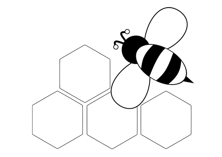 Disegno da colorare ape - dietro