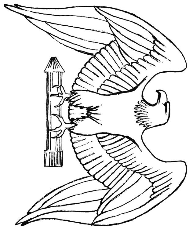 aquila