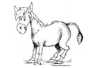 Disegno da colorare asino