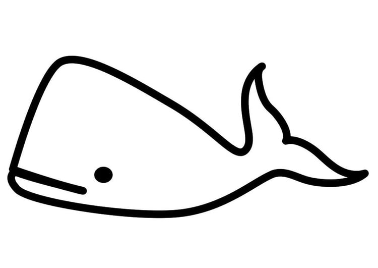 Disegno da colorare balena