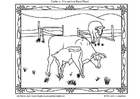 Disegni da colorare bestiame americano