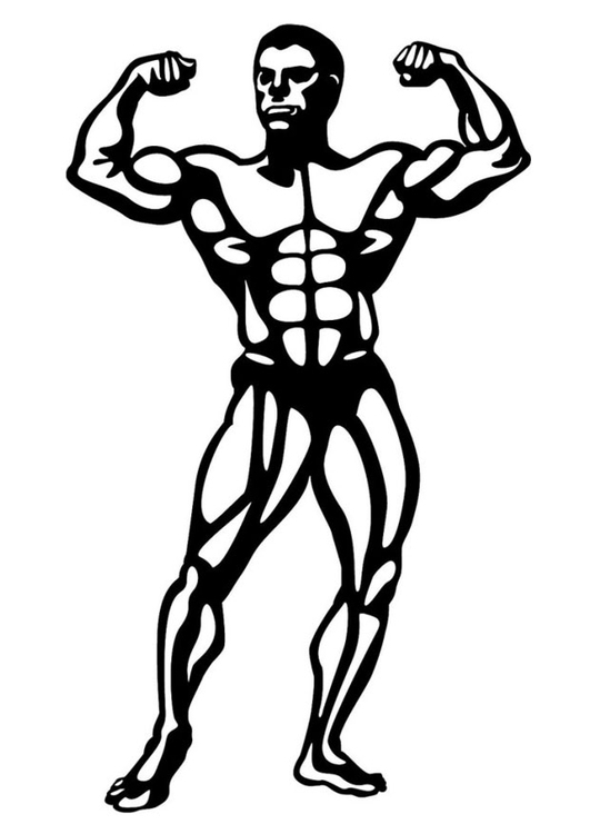 Disegno da colorare body building