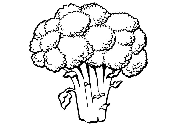 Disegno da colorare broccoli