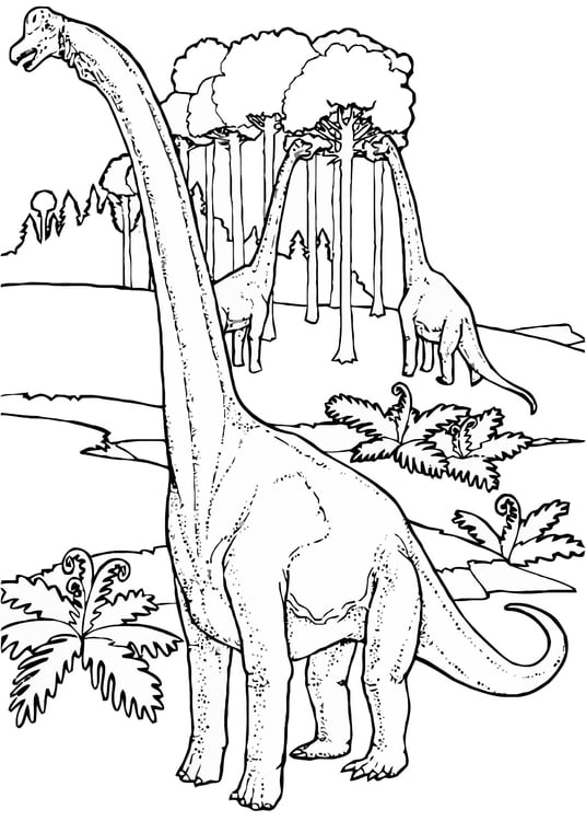 Disegno da colorare brontosauri