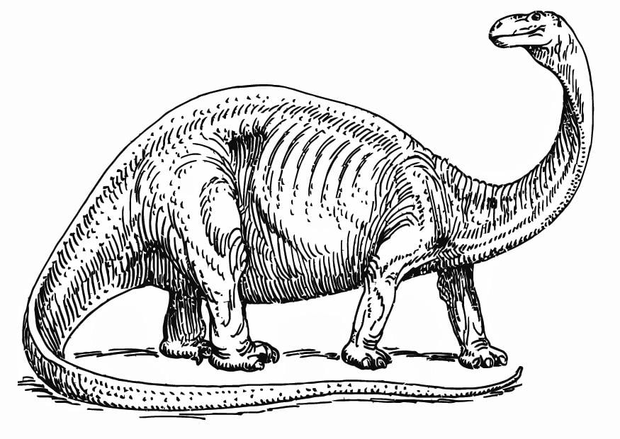 Disegno Da Colorare Brontosauro Disegni Da Colorare E Stampare Gratis