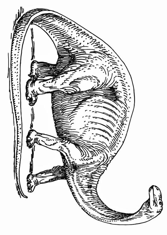 brontosauro