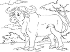 Disegno da colorare buffalo