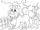 Disegni da colorare bulldog