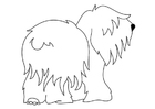 Disegni da colorare cane - bobtail