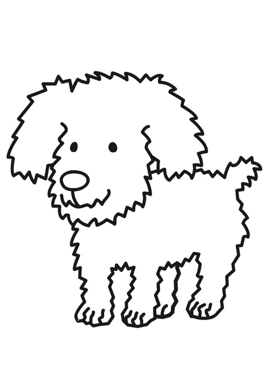 Disegno Da Colorare Cane Disegni Da Colorare E Stampare Gratis Imm