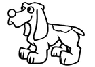 cane