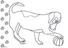 Disegno da colorare cane