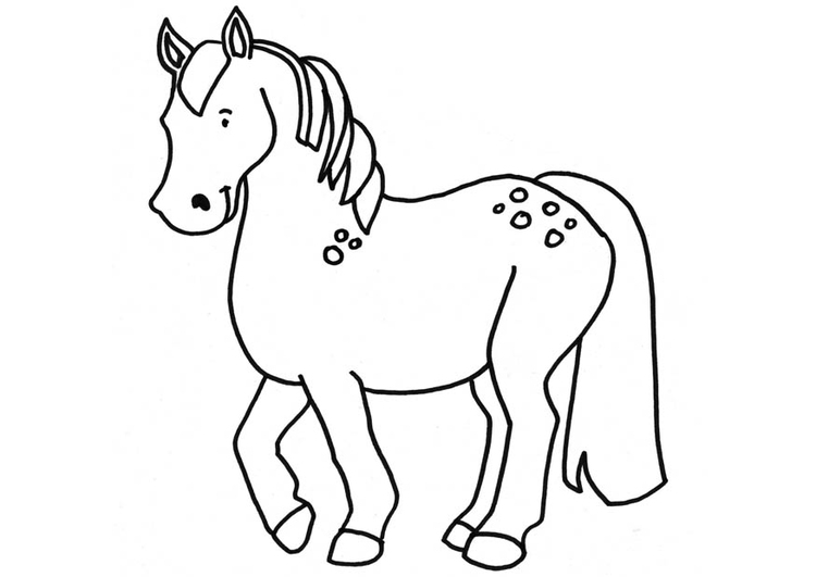 Disegno da colorare cavallo