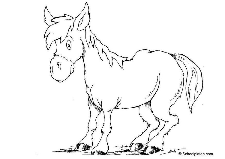 Disegno da colorare cavallo