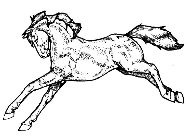 Disegno da colorare cavallo