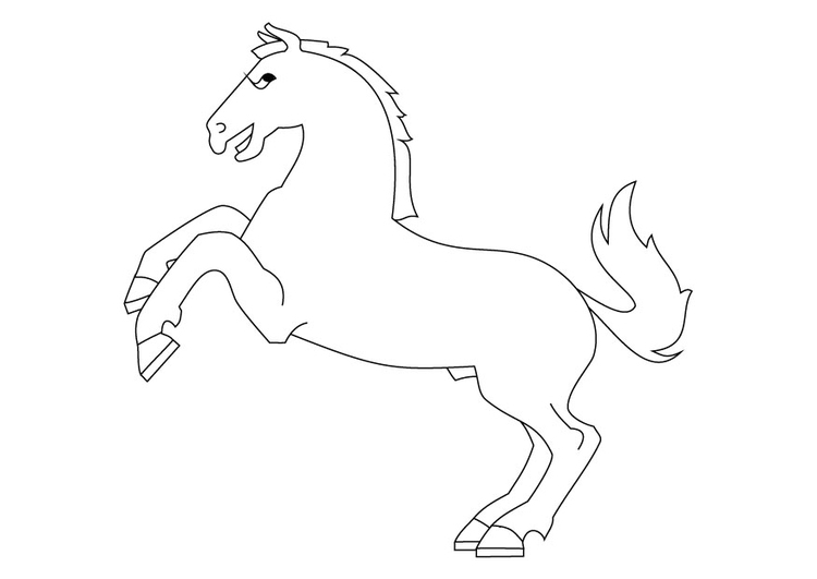 Disegno da colorare cavallo 