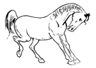 Disegni da colorare cavallo