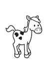 disegno-da-colorare cavallo