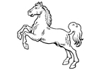 Disegno da colorare cavallo