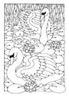disegno-da-colorare cigne