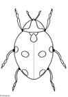 disegno-da-colorare coccinella