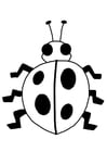 Disegni da colorare coccinella