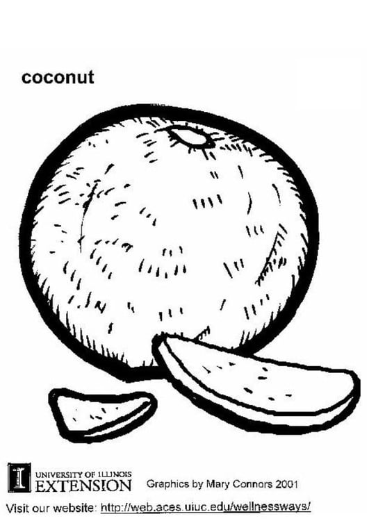 Disegno da colorare cocco