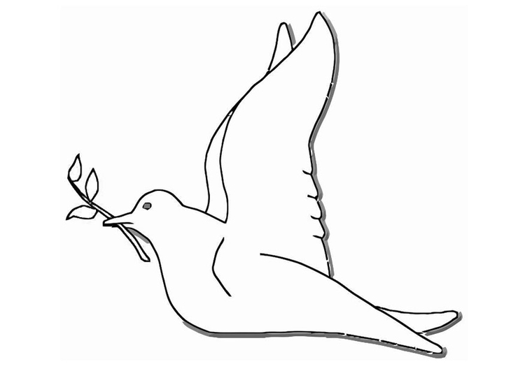 Disegno da colorare colomba bianca