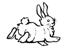 Disegni da colorare coniglio