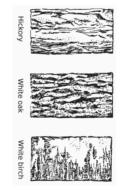 corteccia