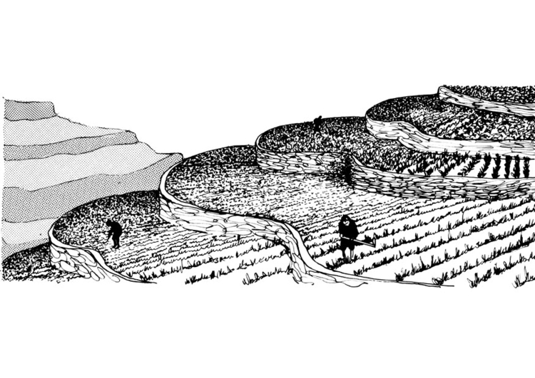 Disegno da colorare costruzione di terrazze