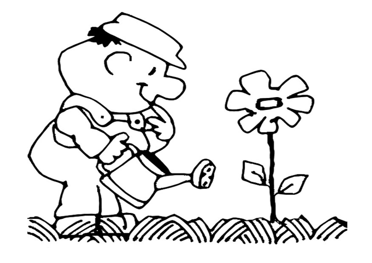 Disegno da colorare dare acqua ai fiori