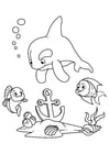 Disegni da colorare delfino e pesce con ancora