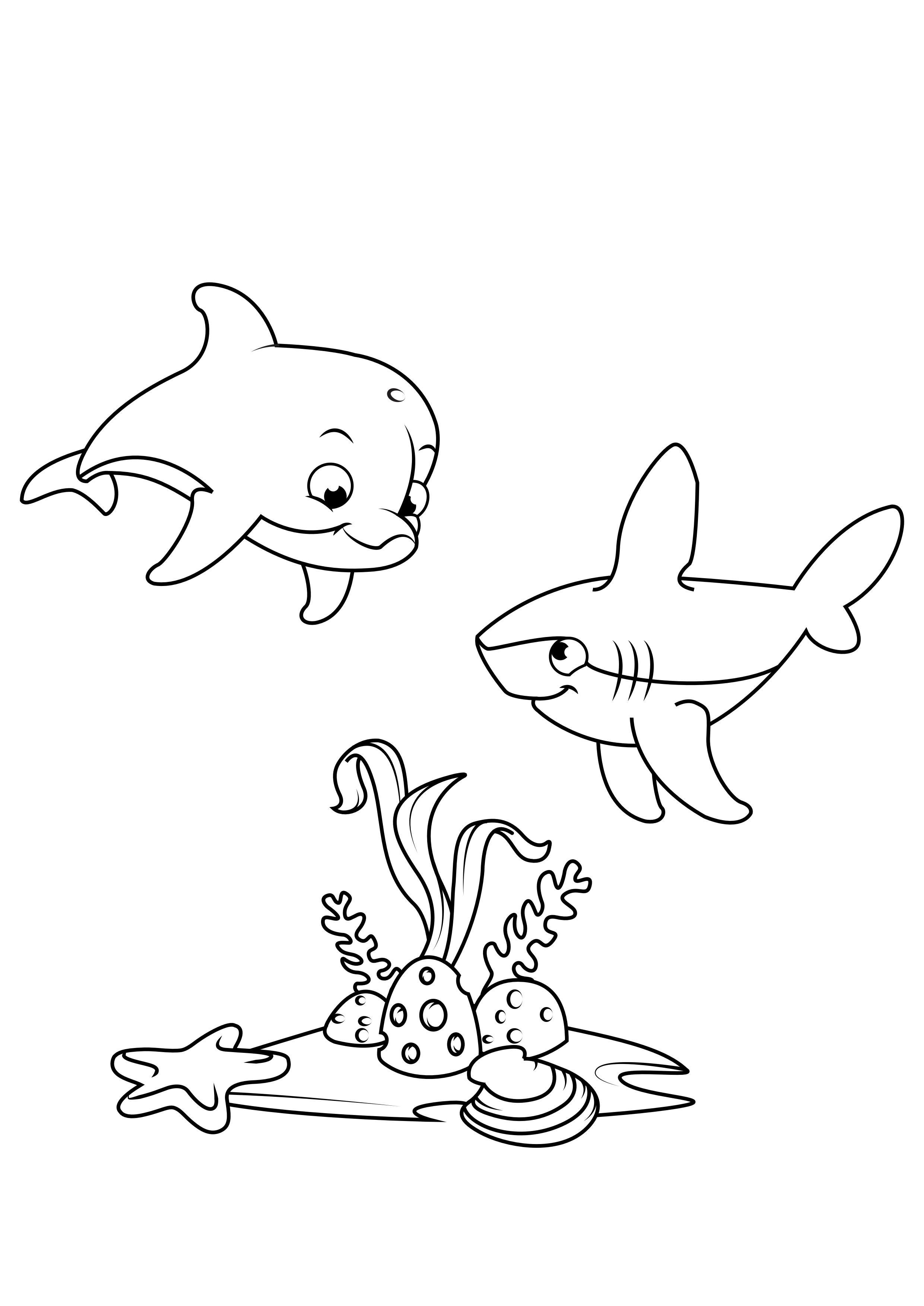 Disegno da colorare delfino e squalo