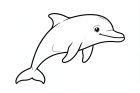 delfino