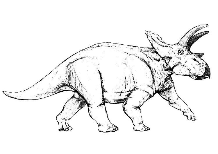 Disegno da colorare dino anchiceratops