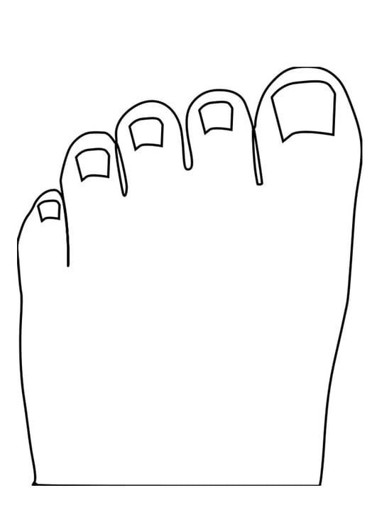 Disegno da colorare dita dei piedi