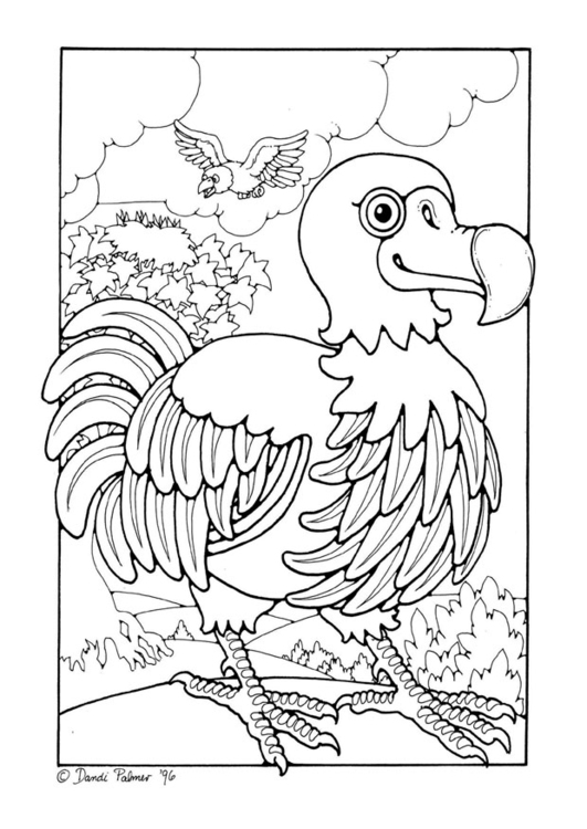 Disegno da colorare dodo