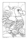 disegno-da-colorare dodo