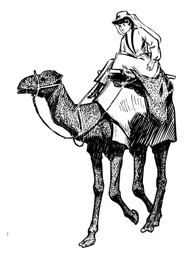 Disegno da colorare donna su cammello