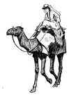 donna su cammello