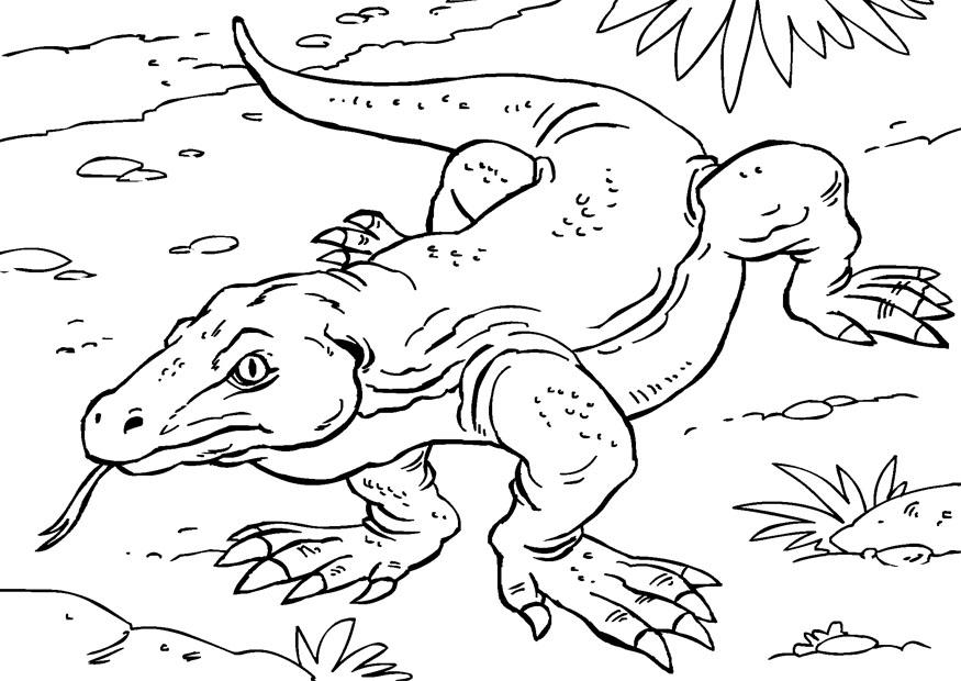 Drago Di Komodo Disegno Da Colorare - Coloring book collection