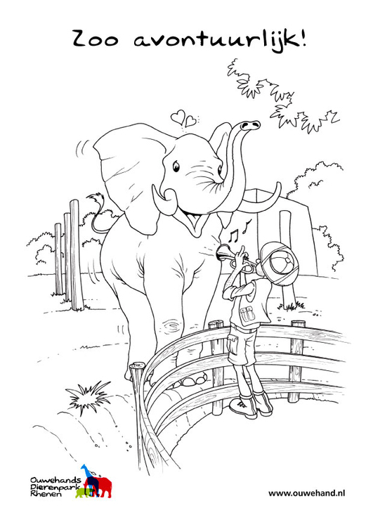 Disegno da colorare elefante allo zoo