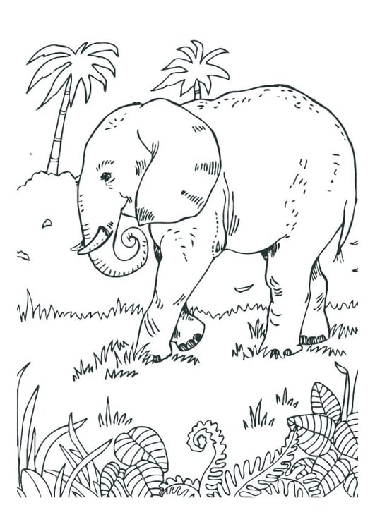 Disegno da colorare elefante