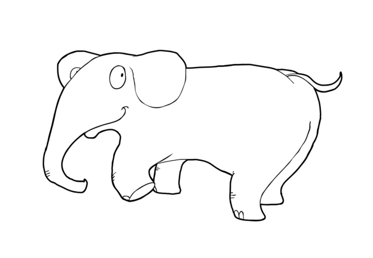 Disegno da colorare elefante