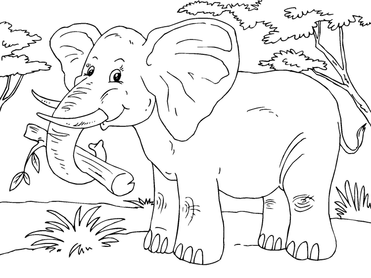 Disegno da colorare elefante